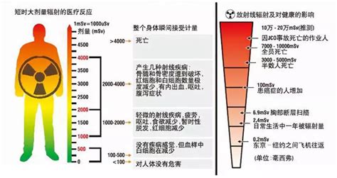 被輻射過的人|辐射与健康